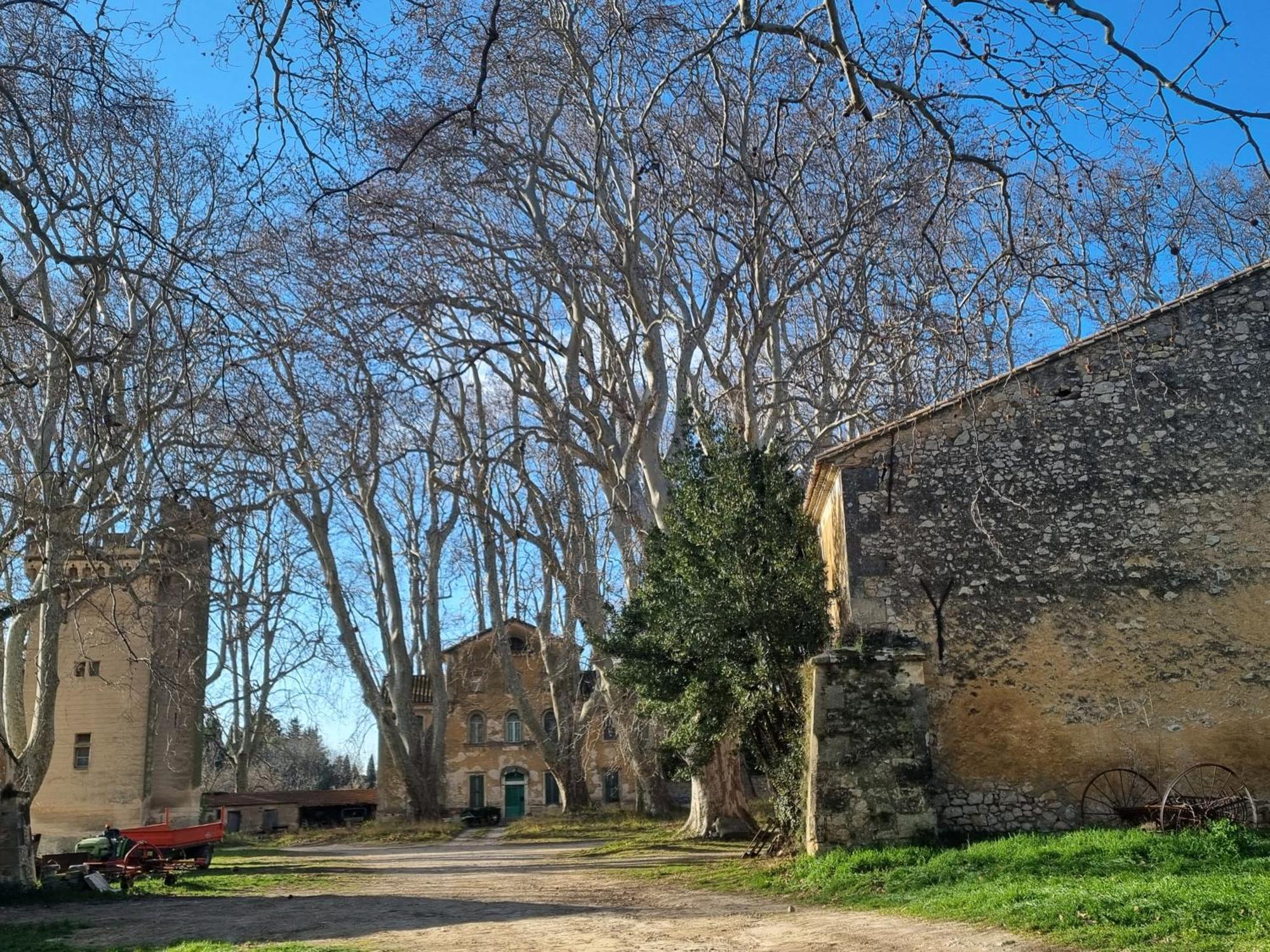 Les Garrigues De La Vallee Des Baux Paradou Εξωτερικό φωτογραφία