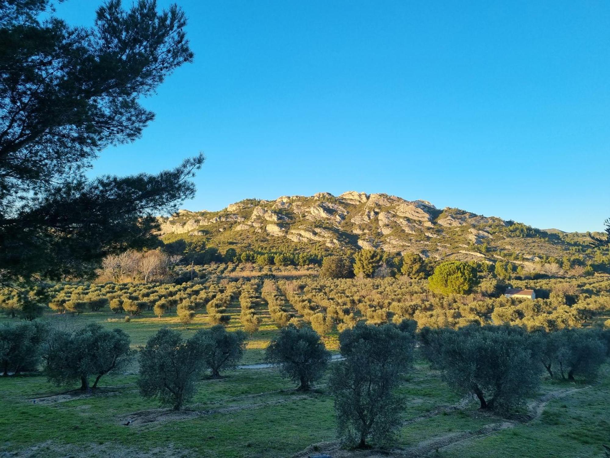 Les Garrigues De La Vallee Des Baux Paradou Εξωτερικό φωτογραφία