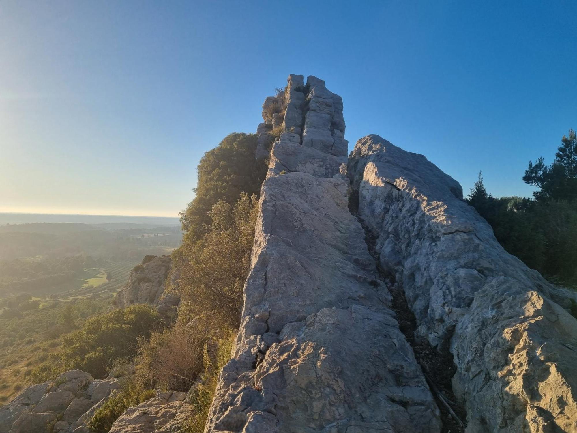 Les Garrigues De La Vallee Des Baux Paradou Εξωτερικό φωτογραφία