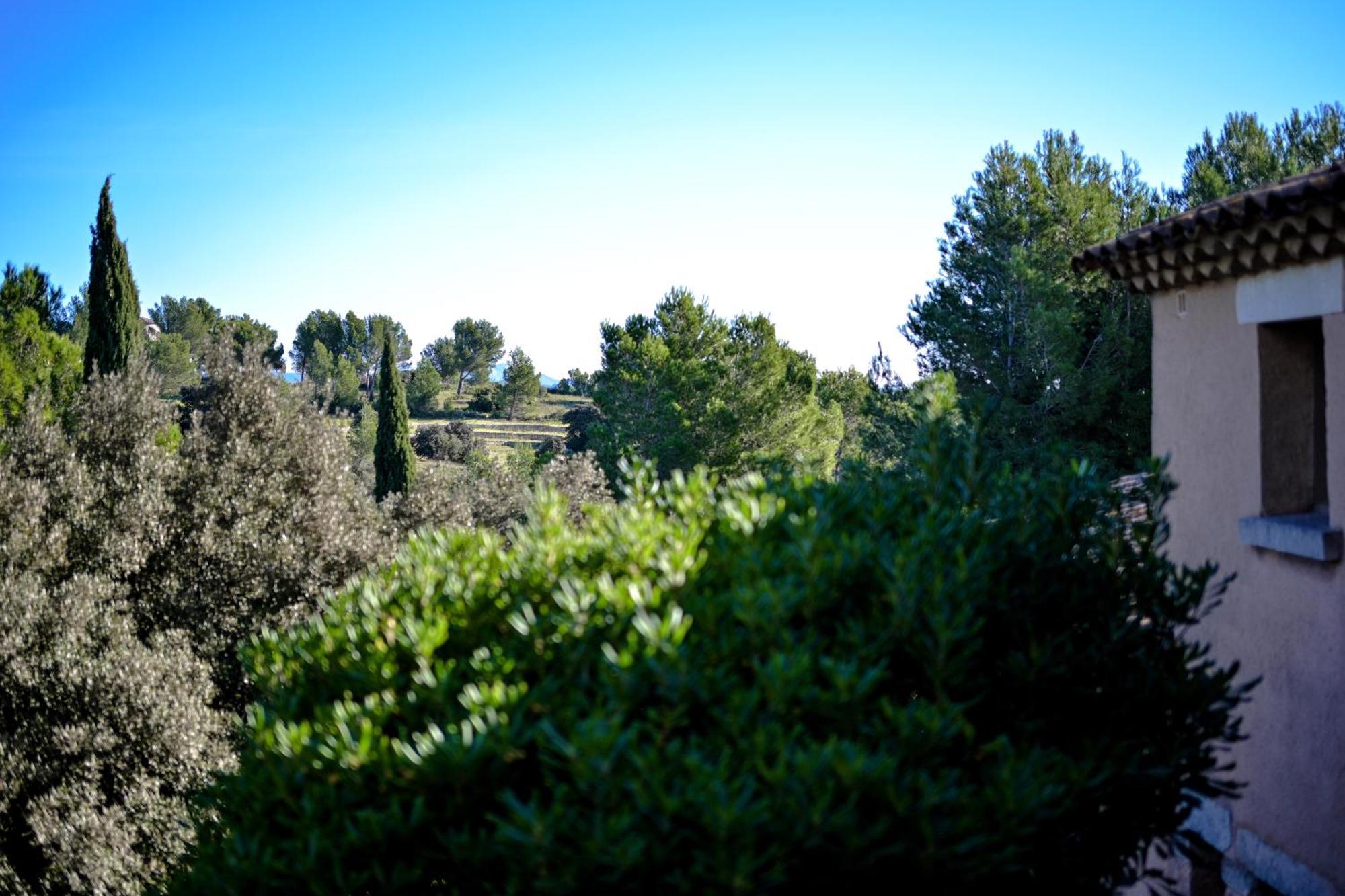 Les Garrigues De La Vallee Des Baux Paradou Εξωτερικό φωτογραφία