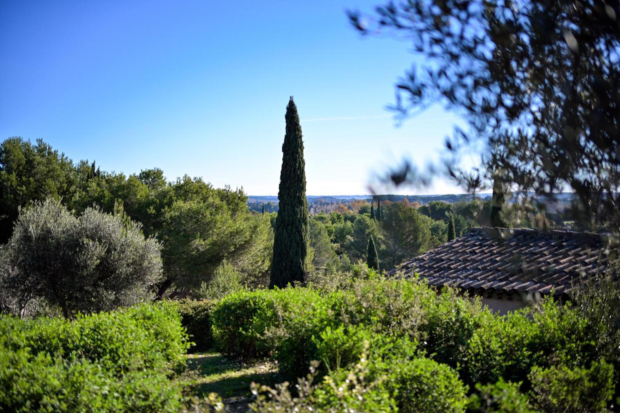 Les Garrigues De La Vallee Des Baux Paradou Εξωτερικό φωτογραφία