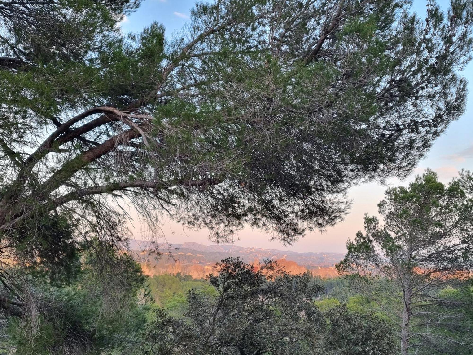 Les Garrigues De La Vallee Des Baux Paradou Εξωτερικό φωτογραφία